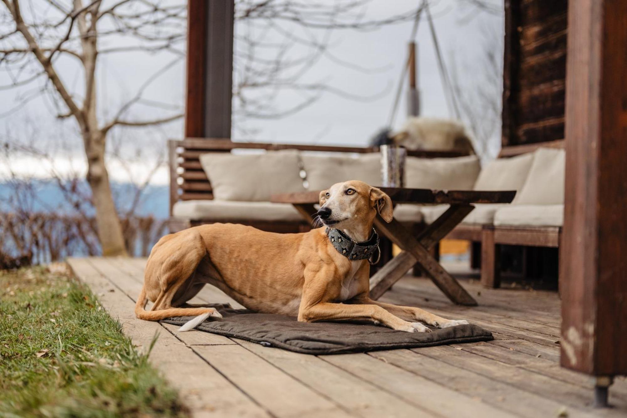 Boutique Chalet - Herke Eitweg Ngoại thất bức ảnh